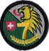 Bild von S Bat 7 schwarz Armee 95 Badge
